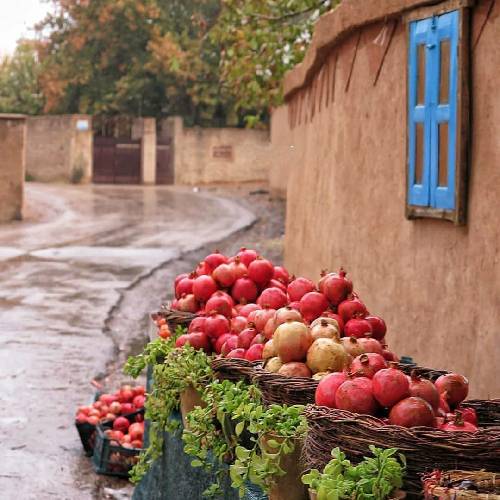  بعد از اینهمه پیچو تاب میبینم دوتا راه بیشتر نی جلو پام